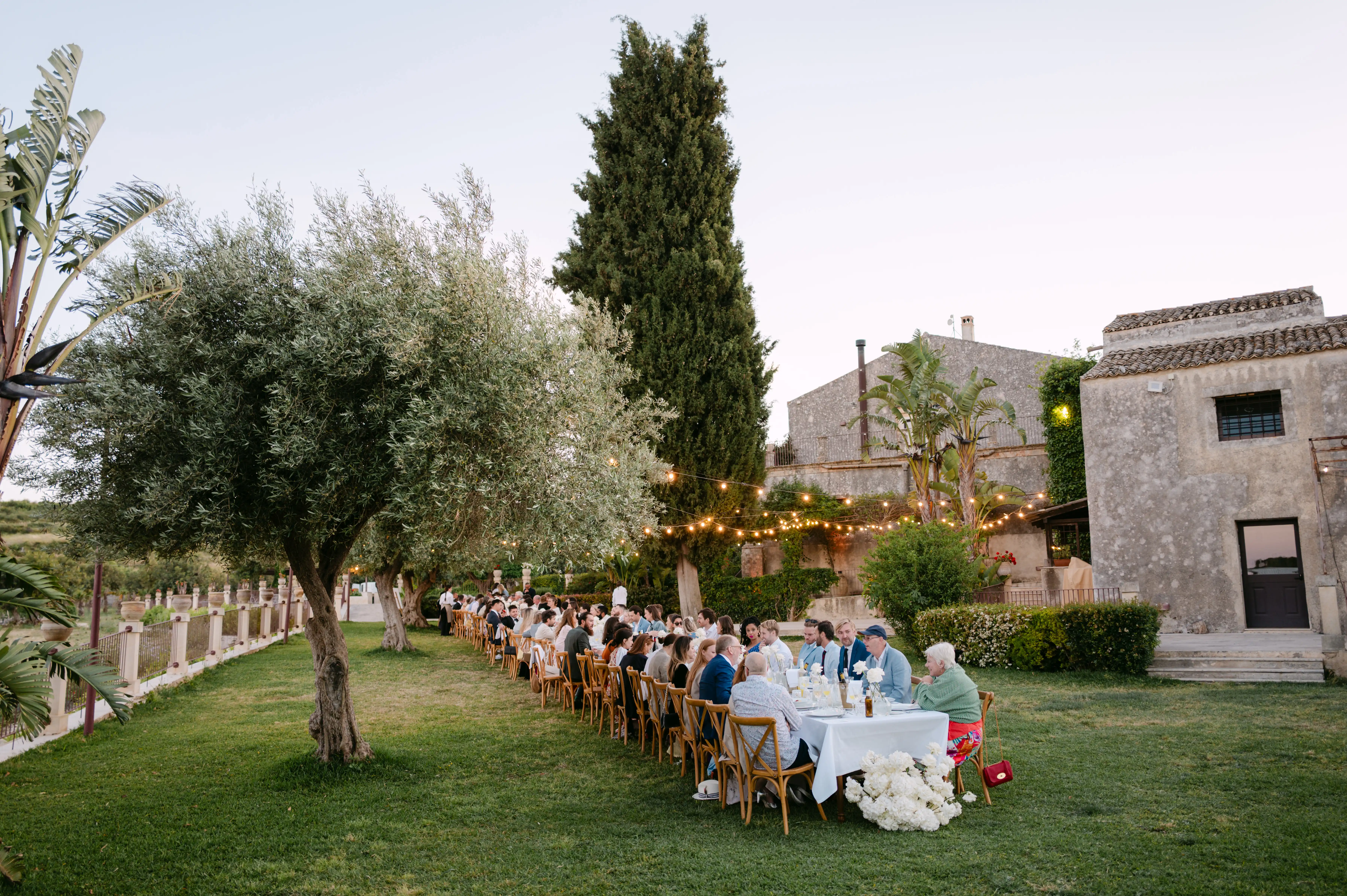 long outdoor wedding reception table surrounded by guests and olive trees.